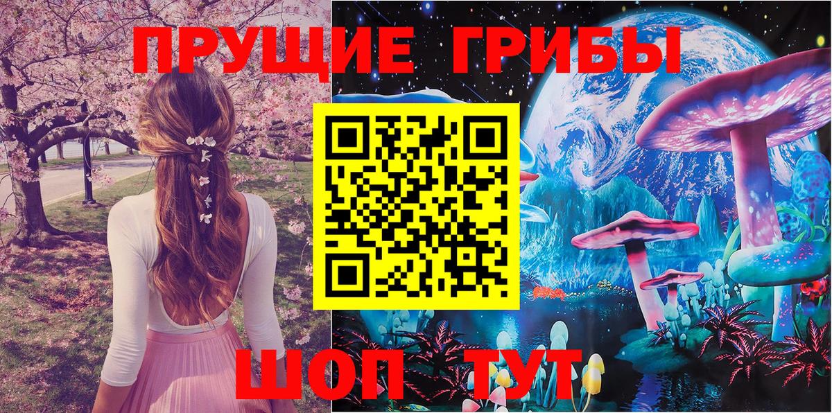 наркотики  Псилоцибиновые грибы Psilocybe  Вход с VPN  Азов 